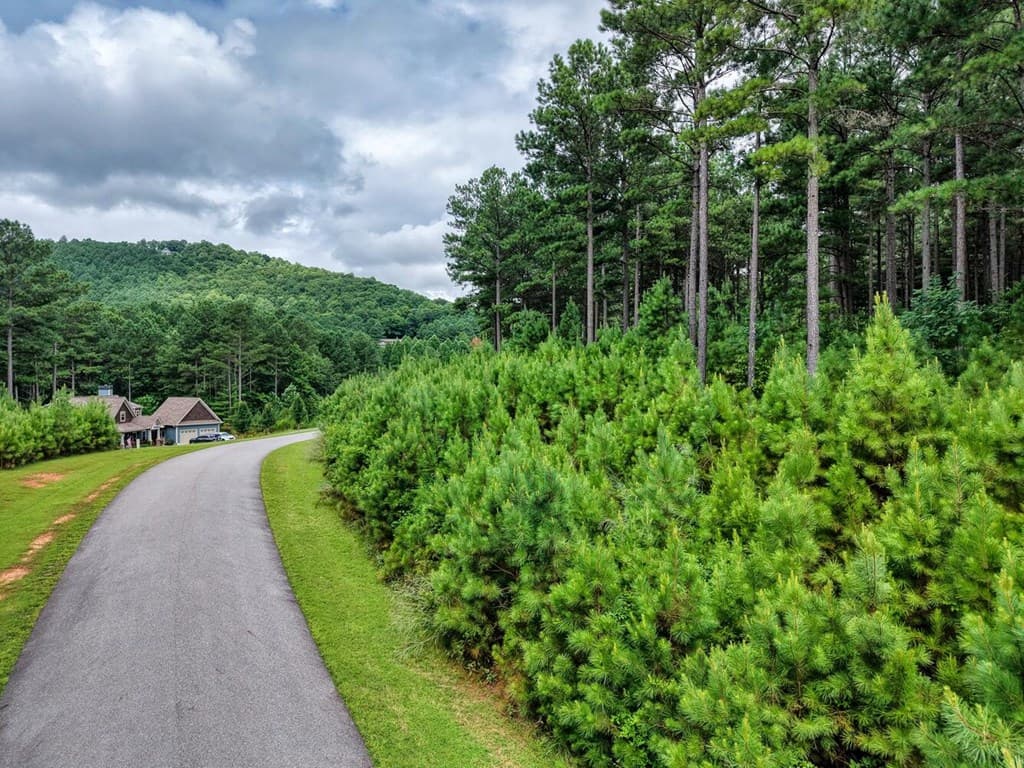Lot 169 Thirteen Hundred, Blairsville GA 30512 - Photo