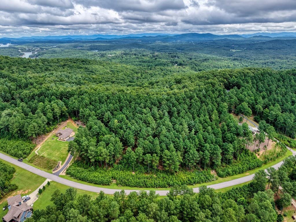 Lot 169 Thirteen Hundred, Blairsville GA 30512 - Photo