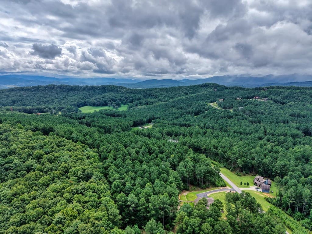 Lot 169 Thirteen Hundred, Blairsville GA 30512 - Photo