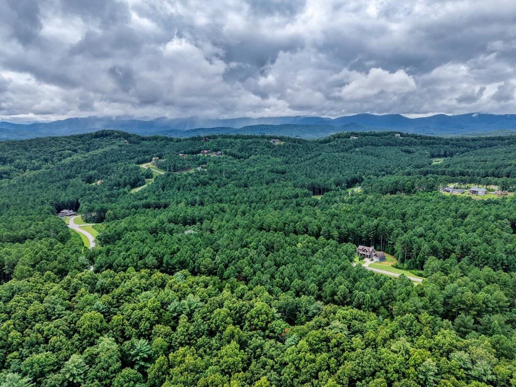 Lot 169 Thirteen Hundred, Blairsville GA 30512 - Photo