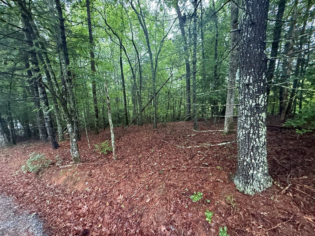 Lot 15 White Pine Drive, Hayesville NC 28904 - Photo