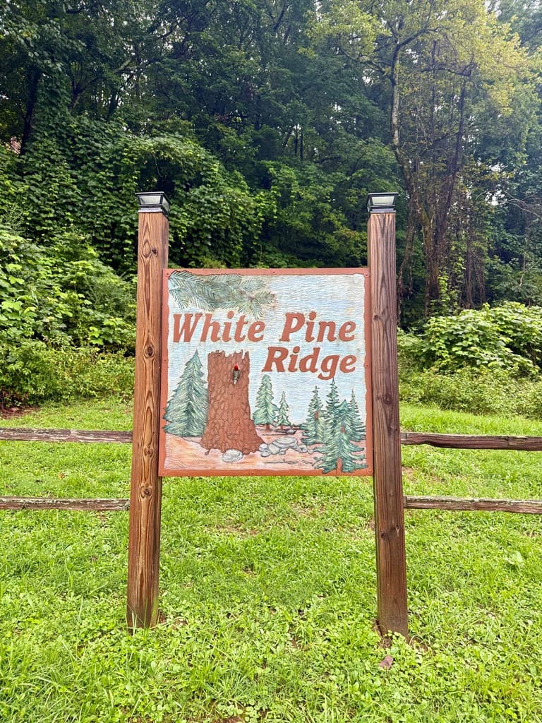 Lot 15 White Pine Drive, Hayesville NC 28904 - Photo