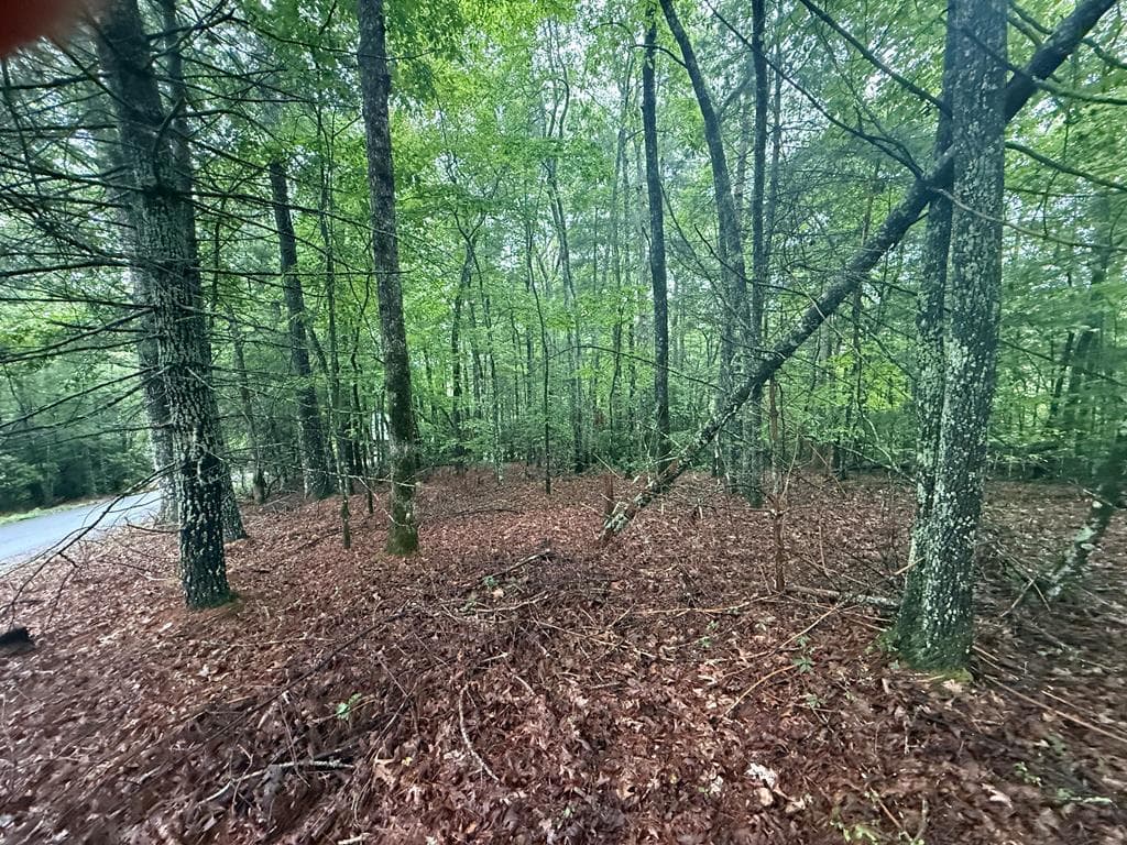 Lot 15 White Pine Drive, Hayesville NC 28904 - Photo