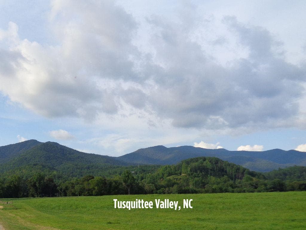 Lot 15 White Pine Drive, Hayesville NC 28904 - Photo