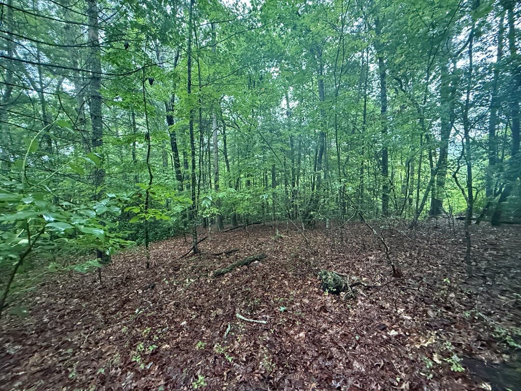 Lot 15 White Pine Drive, Hayesville NC 28904 - Photo