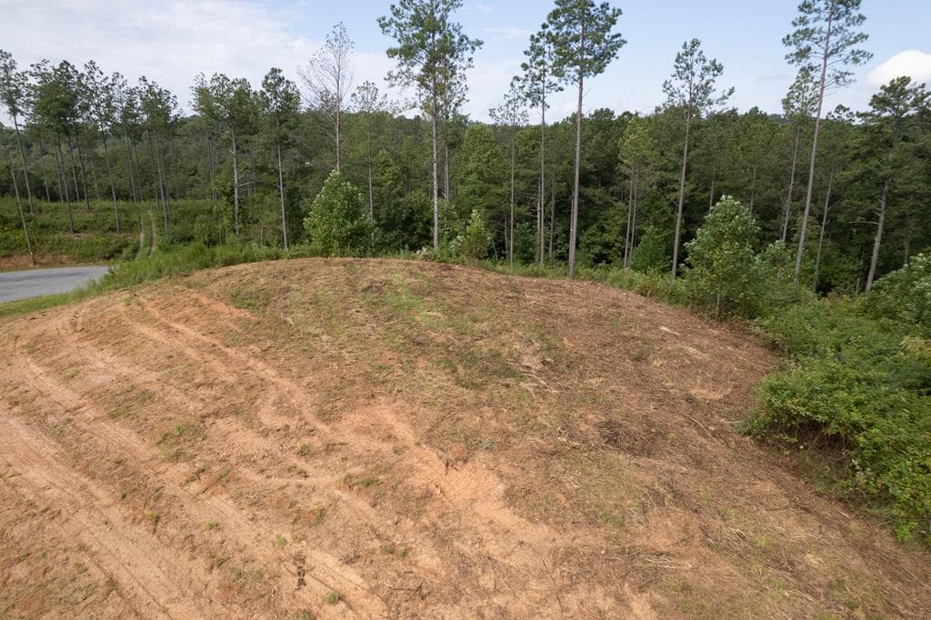 Lot 148 Eddy Waters Circle, Talking Rock GA 30175 - Photo