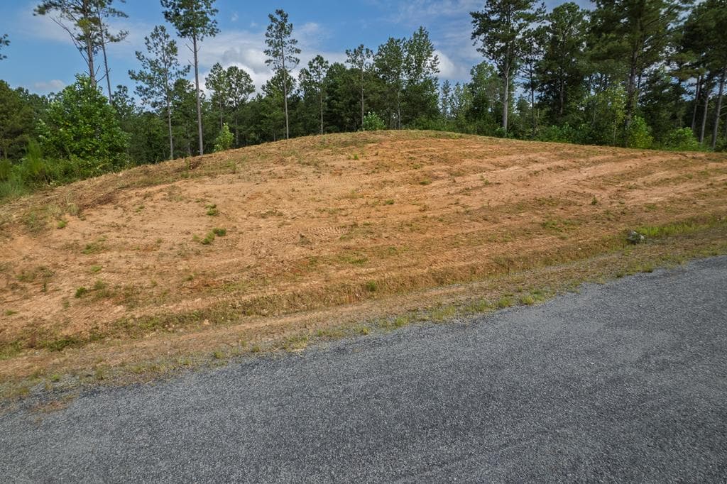 Lot 148 Eddy Waters Circle, Talking Rock GA 30175 - Photo