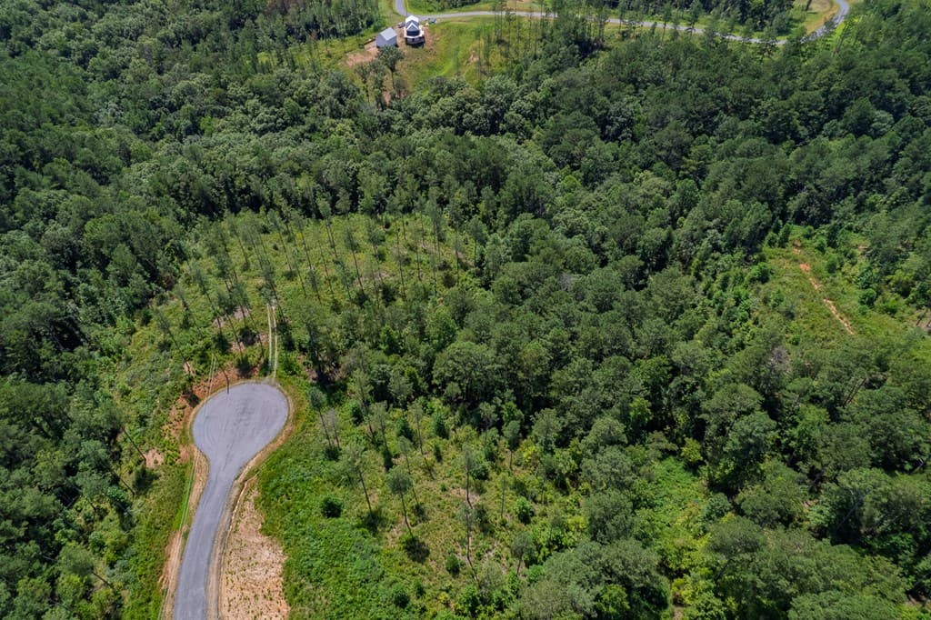 Lot 148 Eddy Waters Circle, Talking Rock GA 30175 - Photo