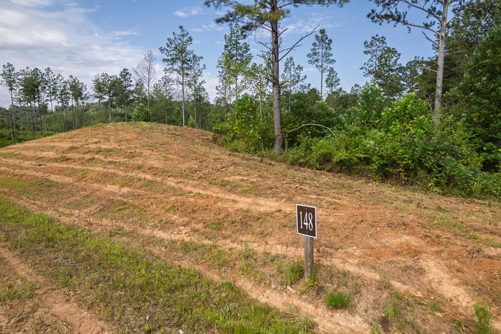 Lot 148 Eddy Waters Circle, Talking Rock GA 30175 - Photo