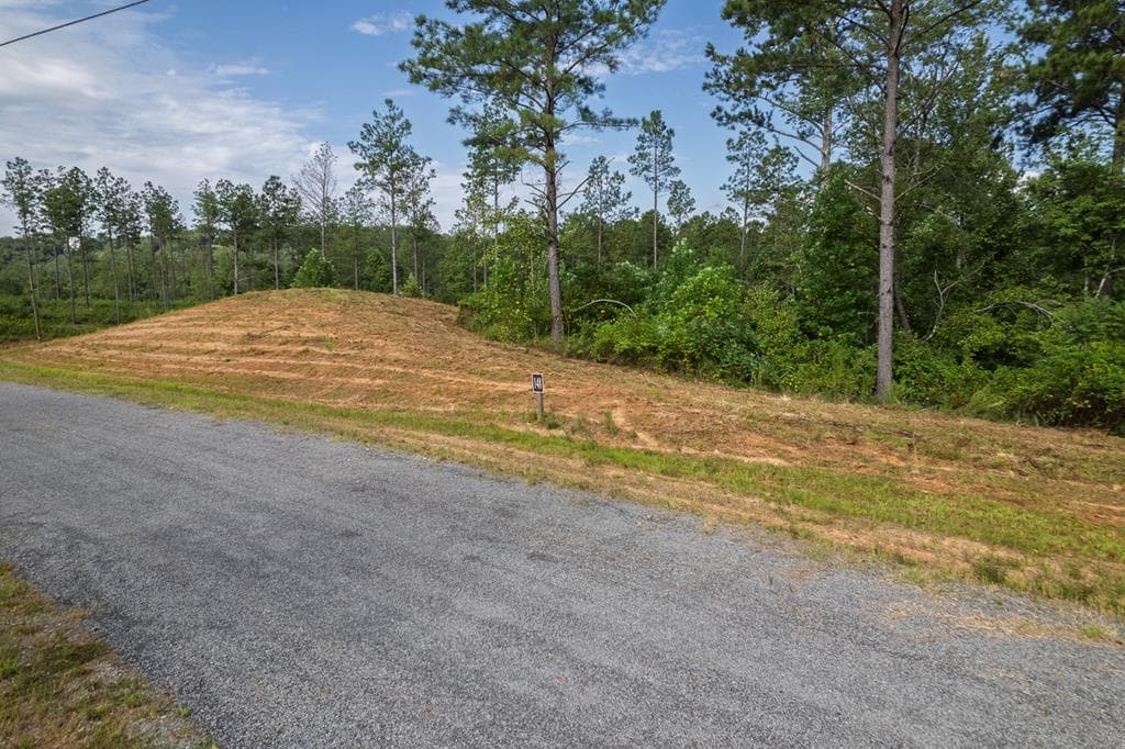 Lot 148 Eddy Waters Circle, Talking Rock GA 30175 - Photo
