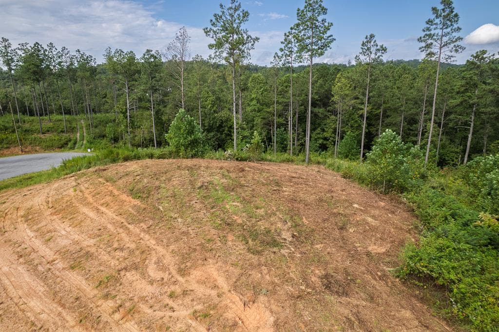 Lot 148 Eddy Waters Circle, Talking Rock GA 30175 - Photo