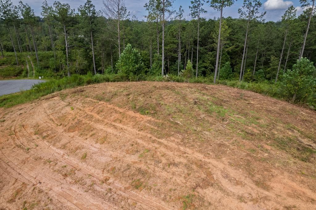 Lot 148 Eddy Waters Circle, Talking Rock GA 30175 - Photo