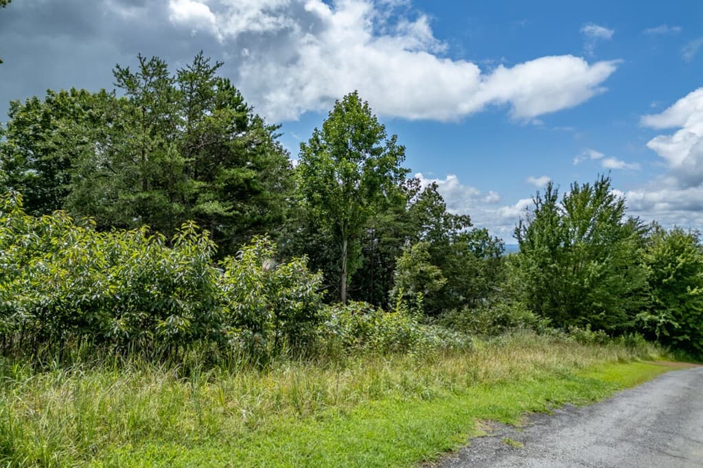 Lot T-5 Talona Mountain Road, Ellijay GA 30563 - Photo