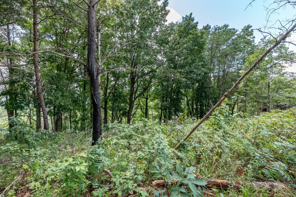 Lot T-5 Talona Mountain Road, Ellijay GA 30563 - Photo