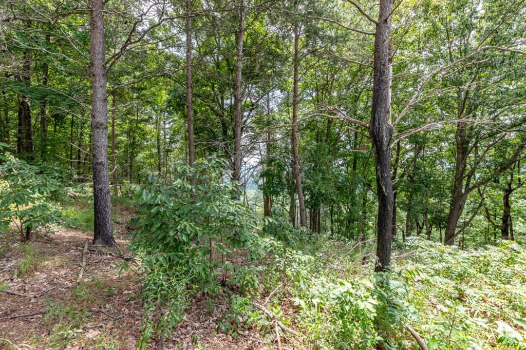 Lot T-5 Talona Mountain Road, Ellijay GA 30563 - Photo