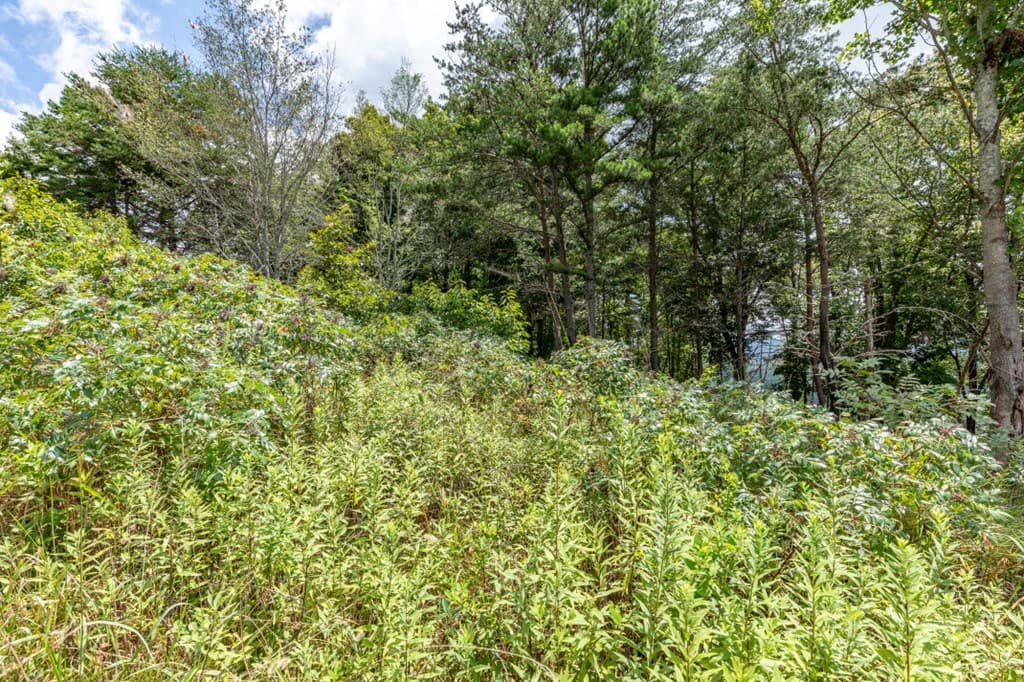 Lot T-5 Talona Mountain Road, Ellijay GA 30563 - Photo