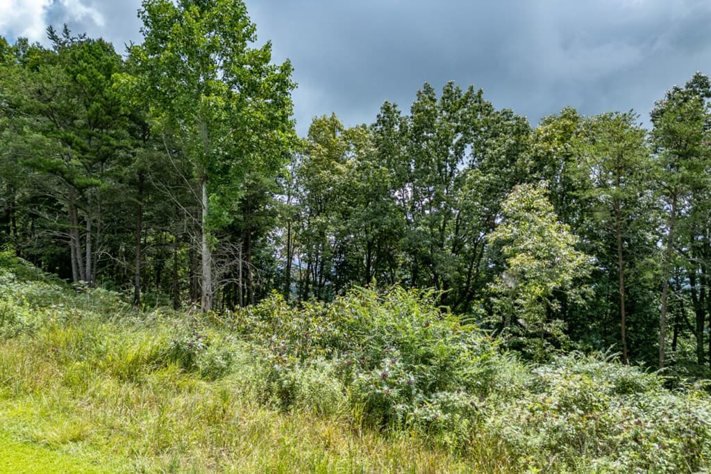 Lot T-5 Talona Mountain Road, Ellijay GA 30563 - Photo