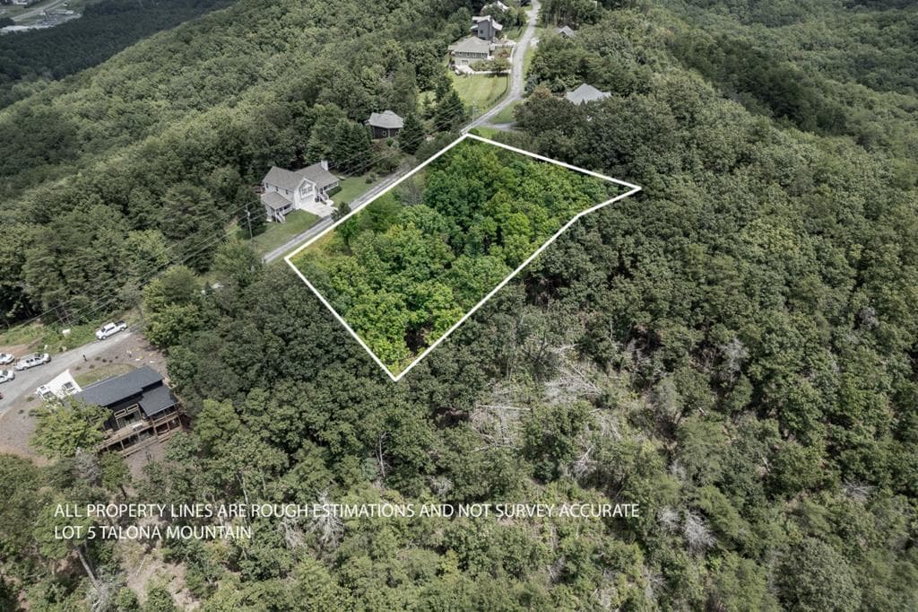 Lot T-5 Talona Mountain Road, Ellijay GA 30563 - Primary photo