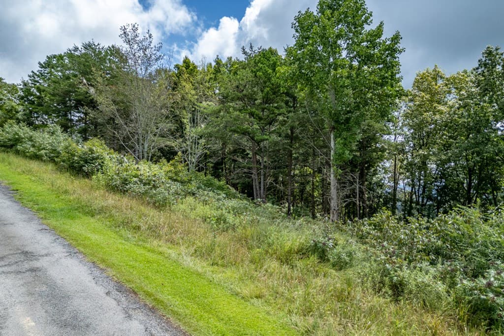 Lot T-5 Talona Mountain Road, Ellijay GA 30563 - Photo