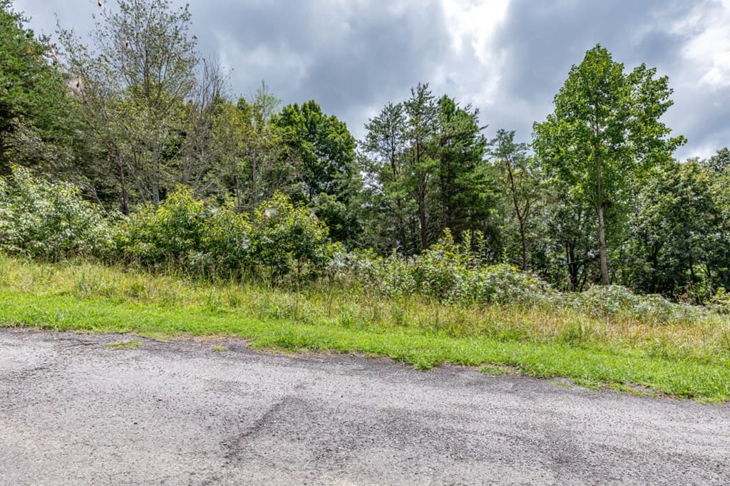 Lot T-5 Talona Mountain Road, Ellijay GA 30563 - Photo
