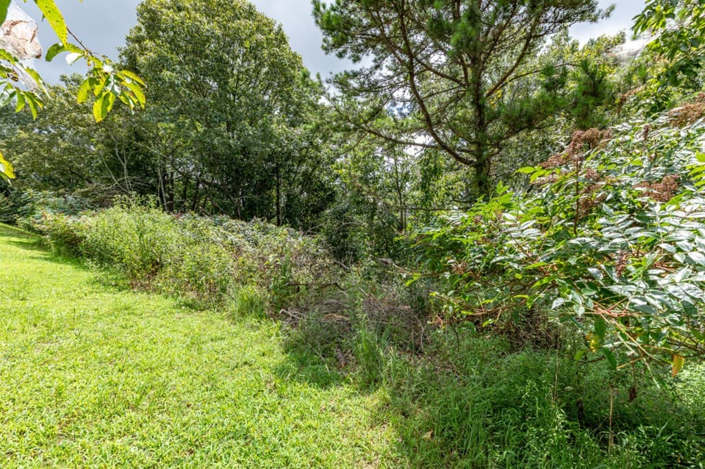 Lot T-5 Talona Mountain Road, Ellijay GA 30563 - Photo