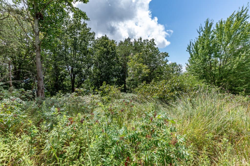 Lot T-5 Talona Mountain Road, Ellijay GA 30563 - Photo