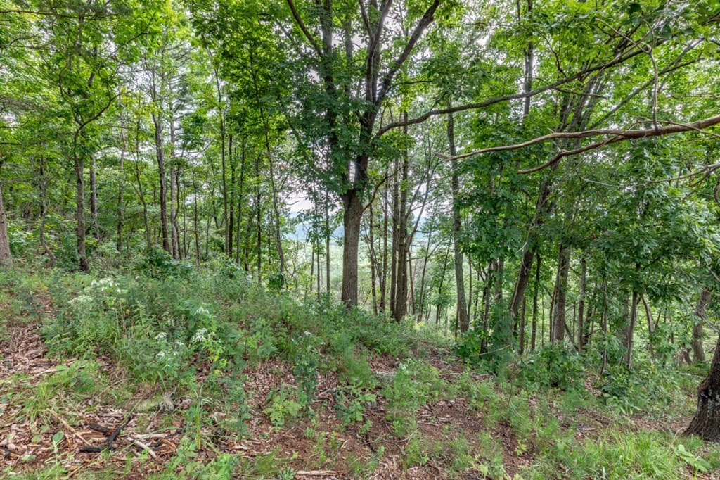 Lot T-5 Talona Mountain Road, Ellijay GA 30563 - Photo