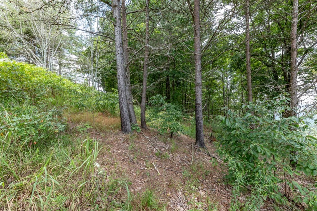 Lot T-5 Talona Mountain Road, Ellijay GA 30563 - Photo