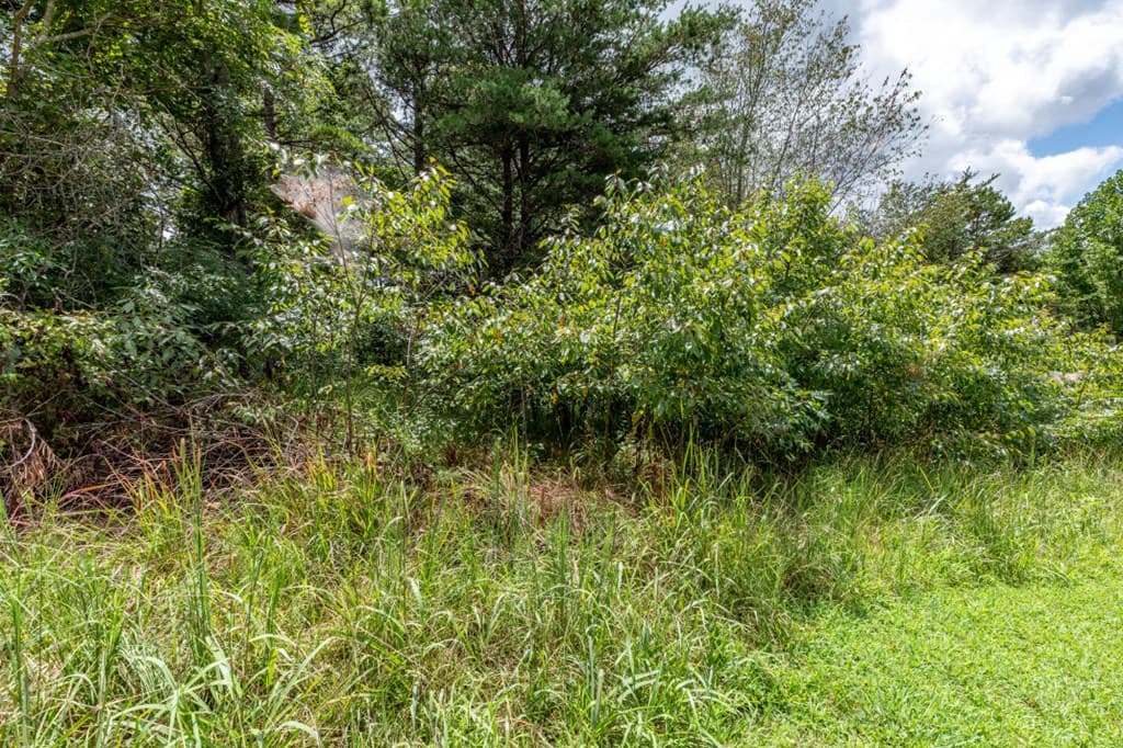 Lot T-5 Talona Mountain Road, Ellijay GA 30563 - Photo