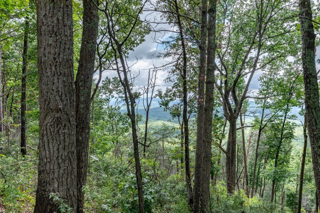 Lot T-5 Talona Mountain Road, Ellijay GA 30563 - Photo