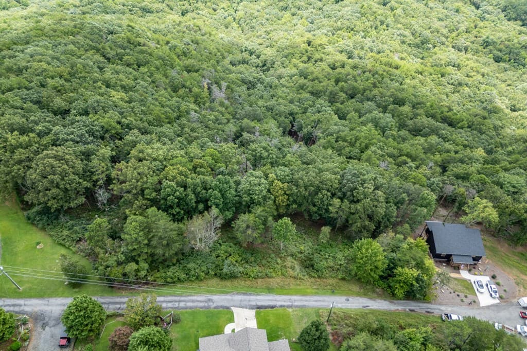 Lot T-5 Talona Mountain Road, Ellijay GA 30563 - Photo