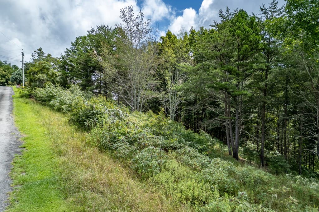 Lot T-5 Talona Mountain Road, Ellijay GA 30563 - Photo