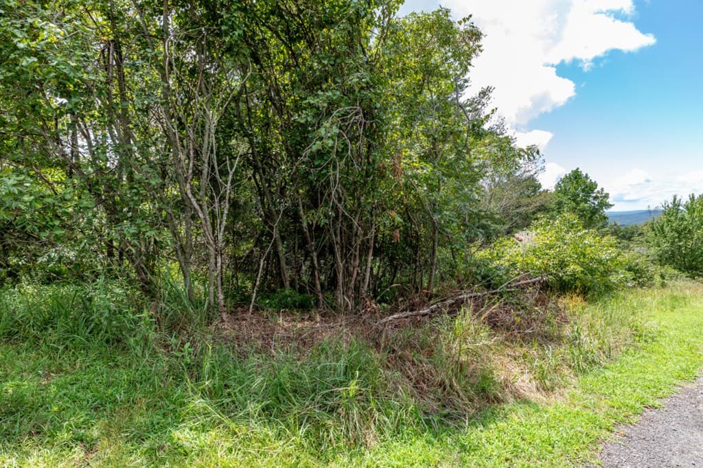 Lot T-5 Talona Mountain Road, Ellijay GA 30563 - Photo