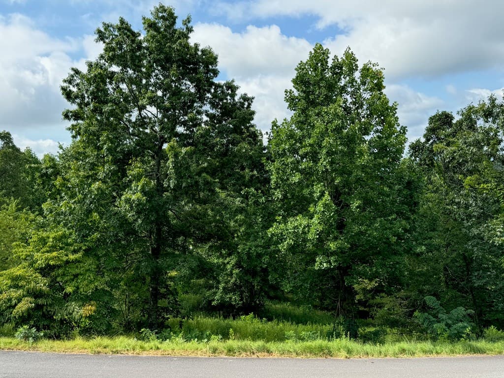 Lot 10 Chatuge Shores Overlook, Hayesville NC 28904 - Photo