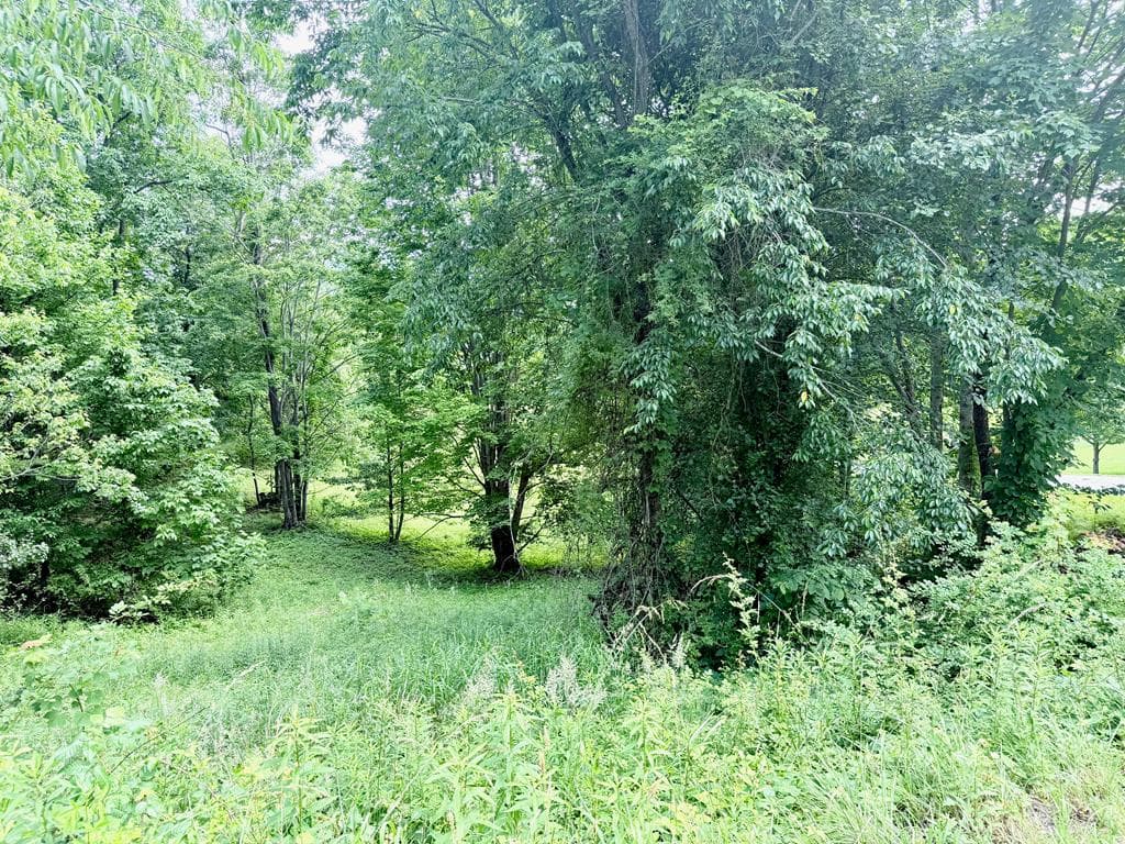 Lot 10 Chatuge Shores Overlook, Hayesville NC 28904 - Photo