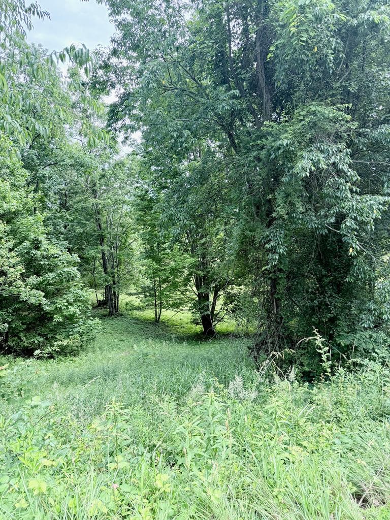 Lot 10 Chatuge Shores Overlook, Hayesville NC 28904 - Photo