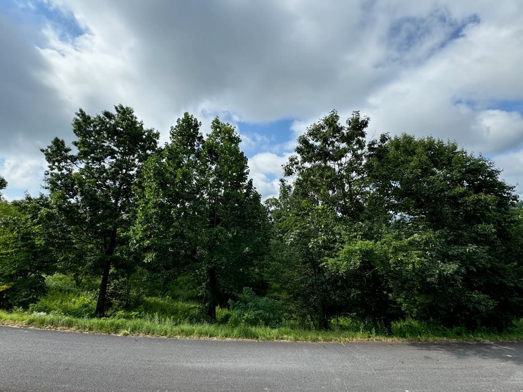 Lot 10 Chatuge Shores Overlook, Hayesville NC 28904 - Photo