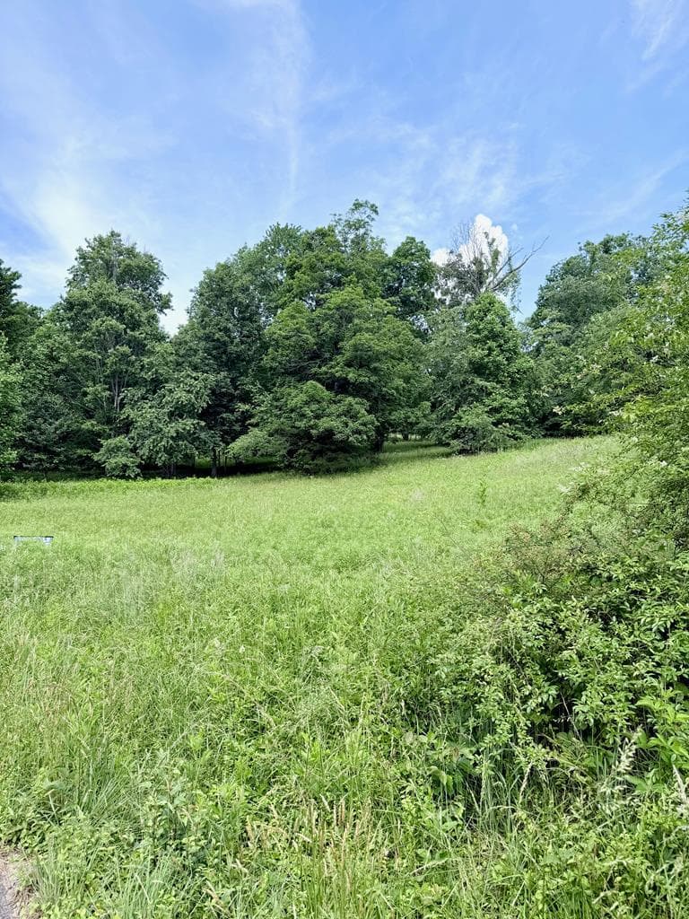 Lot 10 Chatuge Shores Overlook, Hayesville NC 28904 - Primary photo