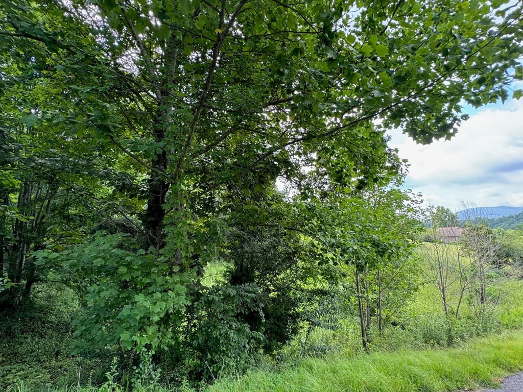 Lot 10 Chatuge Shores Overlook, Hayesville NC 28904 - Photo