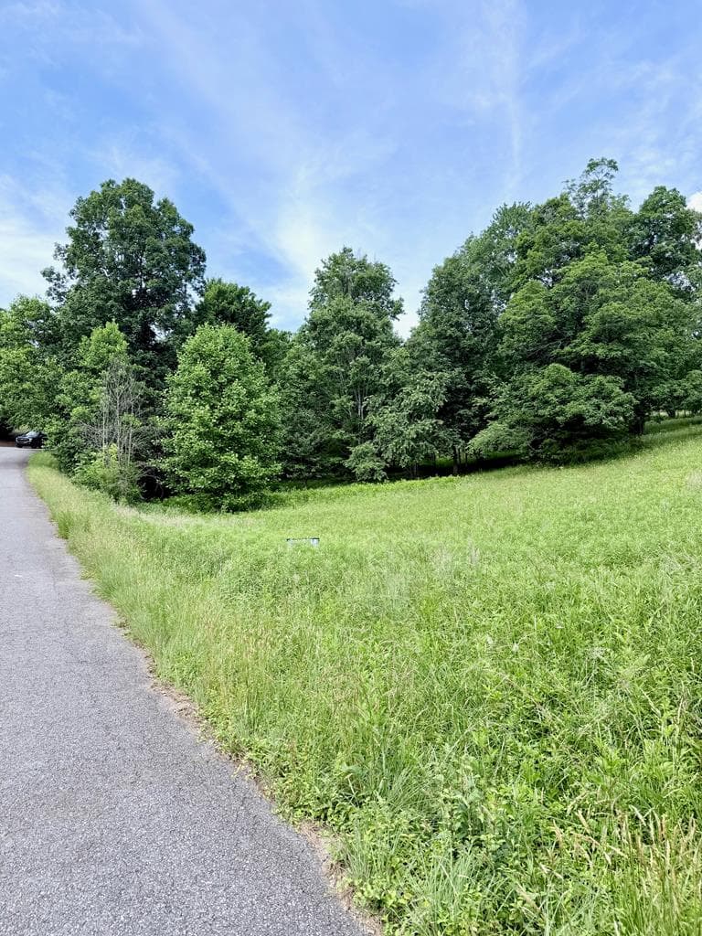 Lot 10 Chatuge Shores Overlook, Hayesville NC 28904 - Photo
