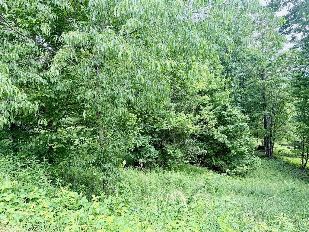 Lot 10 Chatuge Shores Overlook, Hayesville NC 28904 - Photo