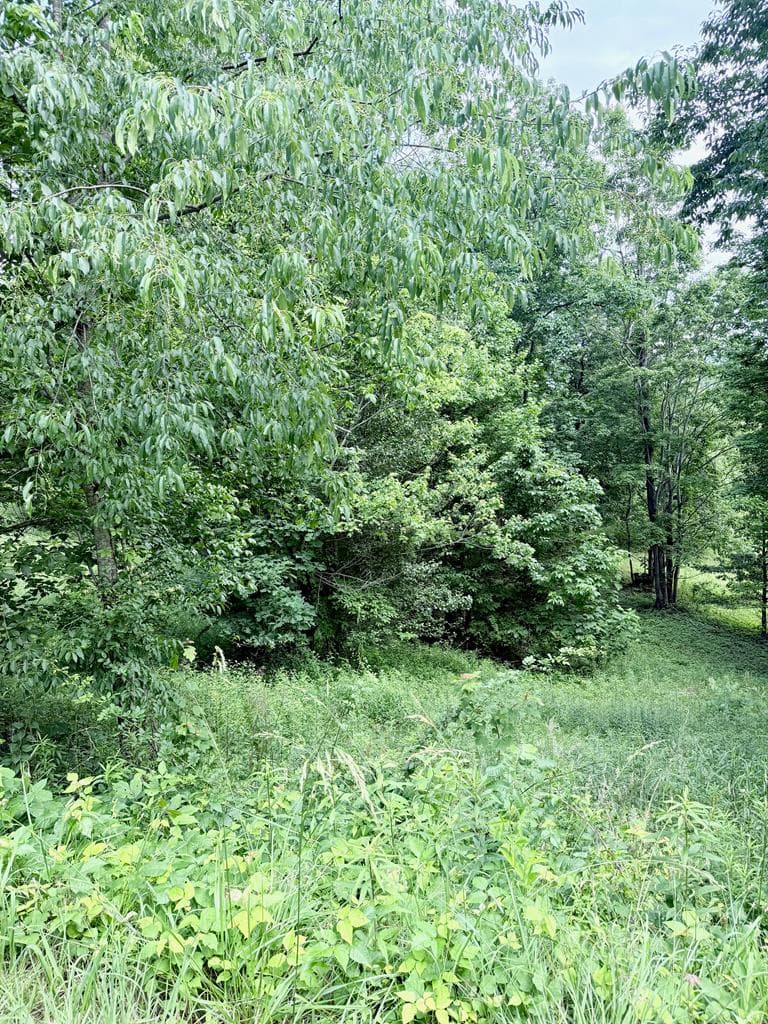 Lot 10 Chatuge Shores Overlook, Hayesville NC 28904 - Photo