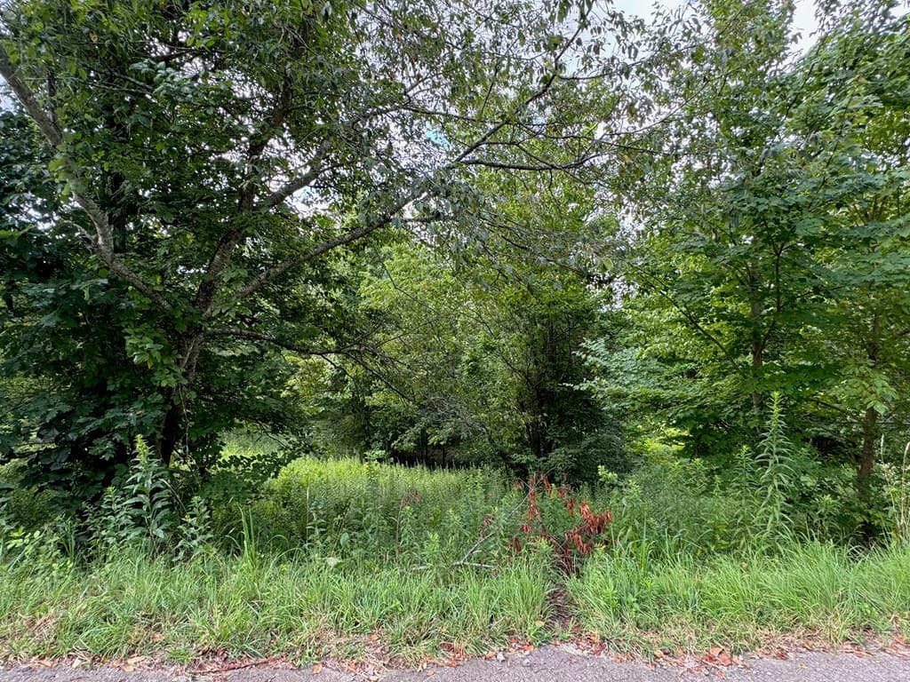 Lot 10 Chatuge Shores Overlook, Hayesville NC 28904 - Photo