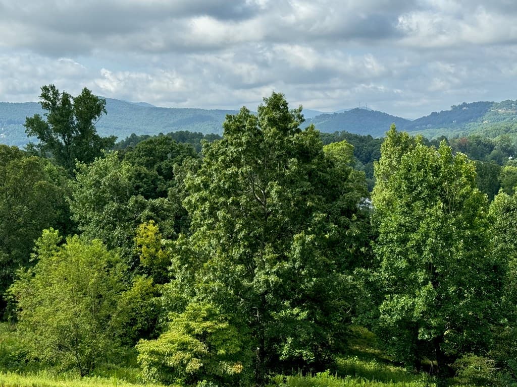 Lot 10 Chatuge Shores Overlook, Hayesville NC 28904 - Photo
