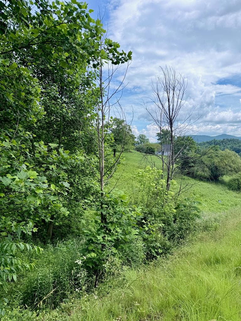 Lot 10 Chatuge Shores Overlook, Hayesville NC 28904 - Photo
