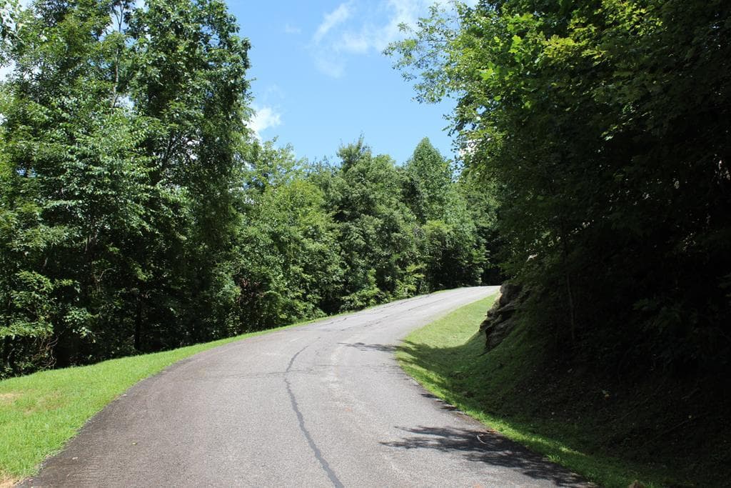 Lot 62 Dan Knob Overlook, Hayesville NC 28904 - Photo