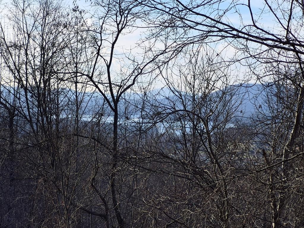 Lot 62 Dan Knob Overlook, Hayesville NC 28904 - Photo