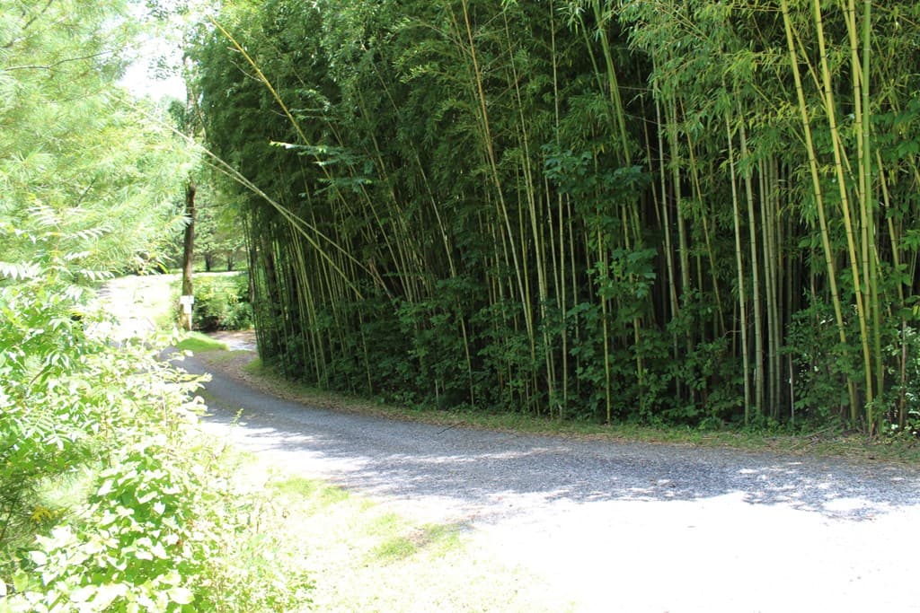 Lot 5J Eagle Fork Trail, Hayesville NC 28904 - Photo