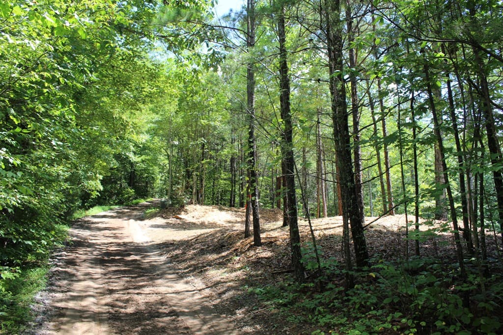 Lot 5J Eagle Fork Trail, Hayesville NC 28904 - Photo