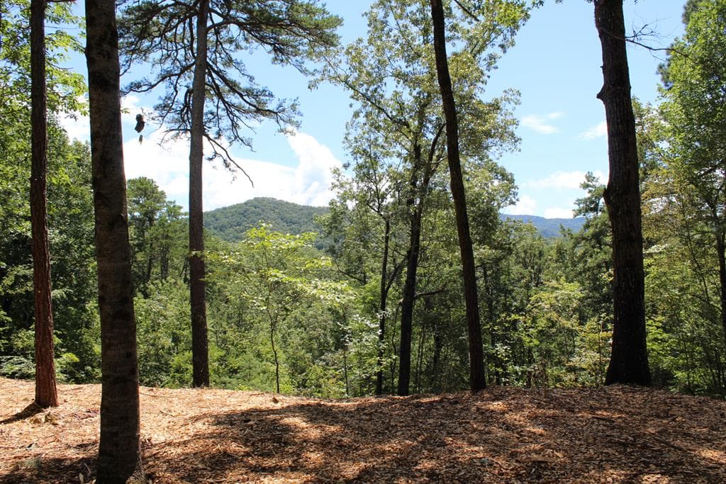 Lot 5J Eagle Fork Trail, Hayesville NC 28904 - Primary photo